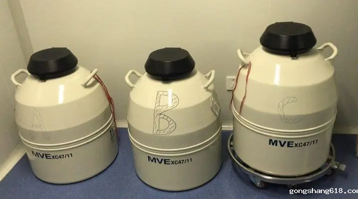 mve液氮罐 mve液氮罐