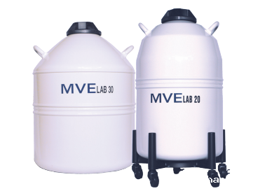 MVE LAB系列新利饭店 