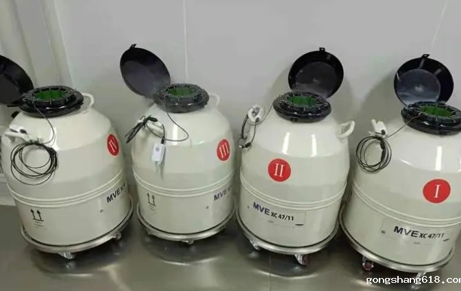 mve液氮罐