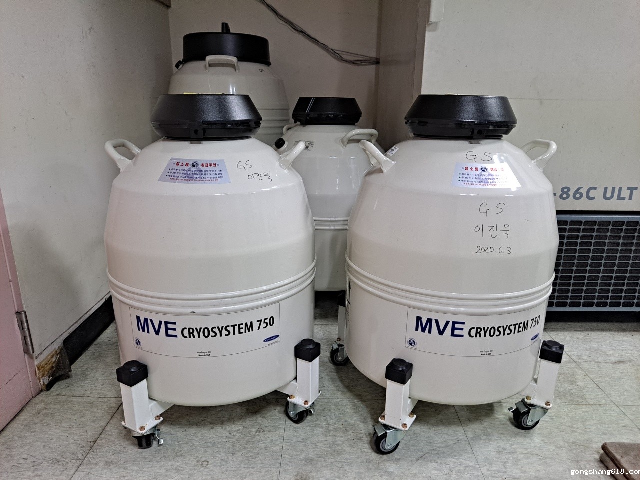 mve cryosystem